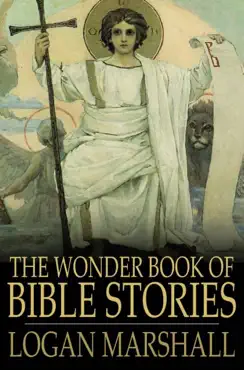 the wonder book of bible stories book cover image