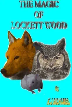 the magic of lockett wood book cover image