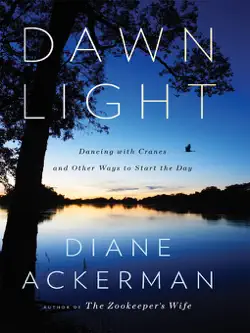 dawn light: dancing with cranes and other ways to start the day book cover image