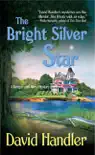The Bright Silver Star synopsis, comments