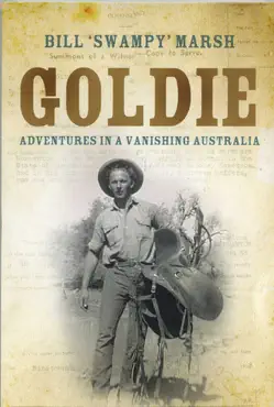goldie book cover image