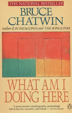 what am i doing here book cover image