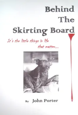 behind the skirting board book cover image