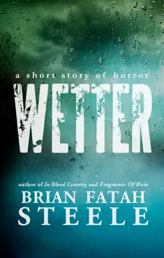 wetter book cover image