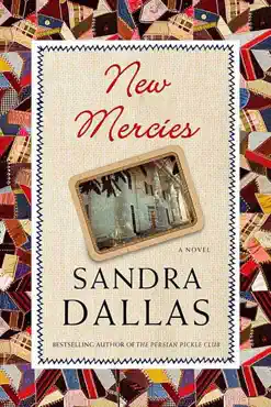 new mercies book cover image
