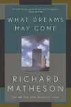 What Dreams May Come synopsis, comments