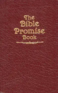 the bible promise book kjv book cover image
