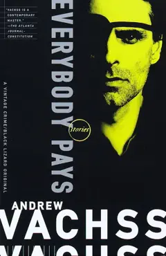 everybody pays book cover image