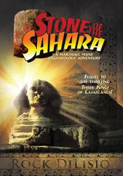 stone of the sahara book cover image