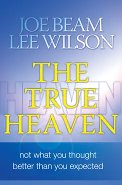 the true heaven book cover image