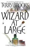 Wizard At Large sinopsis y comentarios