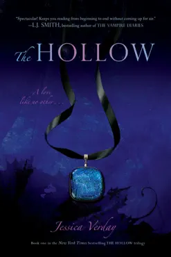the hollow book cover image