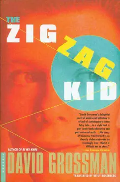the zig zag kid book cover image