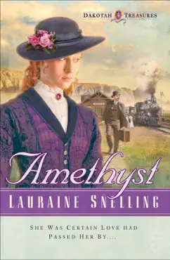 amethyst book cover image