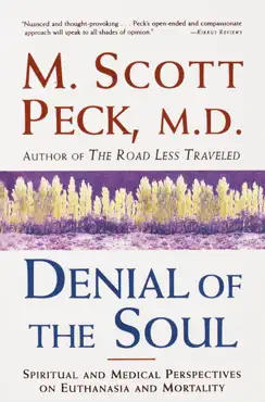 denial of the soul book cover image