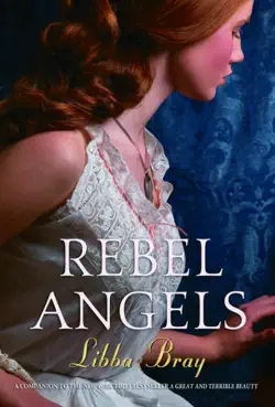 rebel angels book cover image