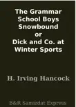 The Grammar School Boys Snowbound or Dick and Co. at Winter Sports synopsis, comments