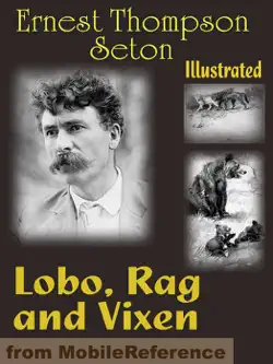 lobo, rag and vixen. illustrated book cover image