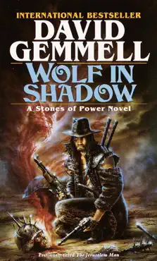 wolf in shadow imagen de la portada del libro