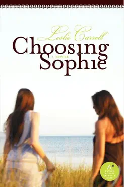 choosing sophie book cover image