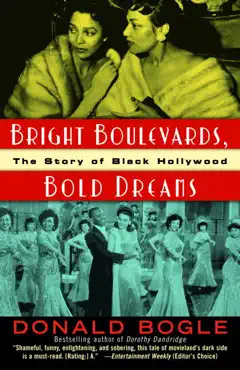 bright boulevards, bold dreams book cover image
