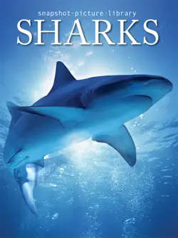 sharks imagen de la portada del libro