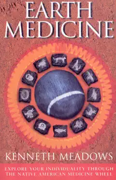 earth medicine book cover image