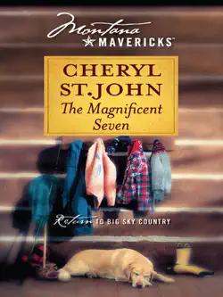 the magnificent seven book cover image