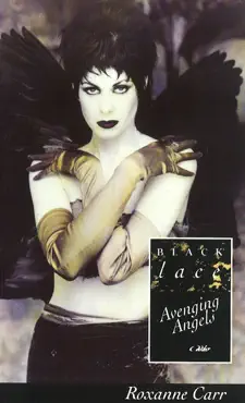 avenging angels book cover image