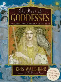 the book of goddesses book cover image