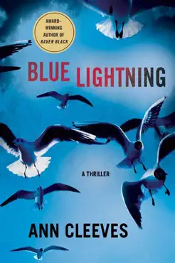 blue lightning book cover image