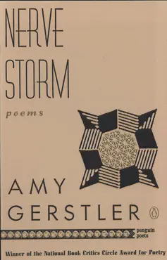 nerve storm imagen de la portada del libro