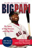Big Papi synopsis, comments