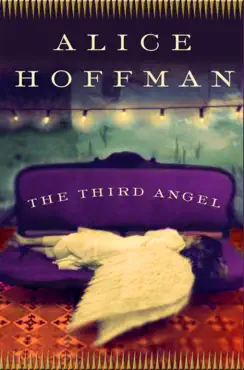 the third angel book cover image