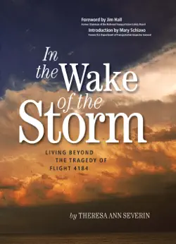in the wake of the storm book cover image