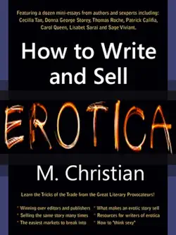 how to write and sell erotica book cover image