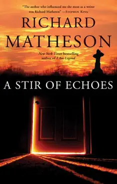 a stir of echoes book cover image