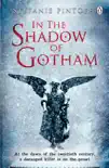 In the Shadow of Gotham sinopsis y comentarios