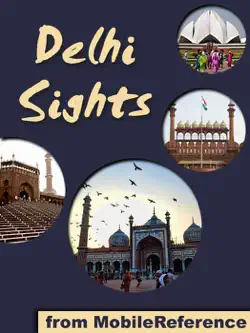 delhi sights imagen de la portada del libro