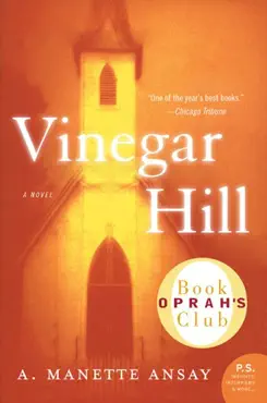 vinegar hill book cover image