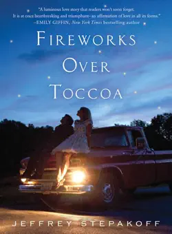 fireworks over toccoa book cover image
