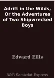Adrift in the Wilds, Or the Adventures of Two Shipwrecked Boys synopsis, comments