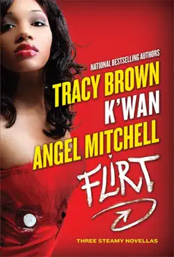 flirt book cover image