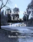 A Haunted Lifes Travels synopsis, comments