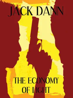 the economy of light book cover image