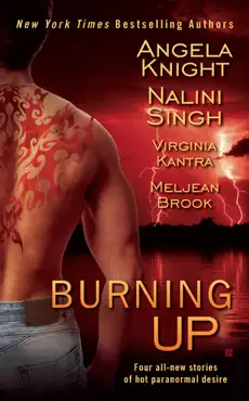 burning up book cover image