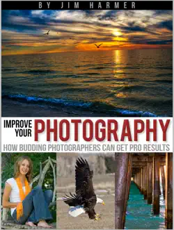 improve your photography: how budding photographers can get pro results book cover image