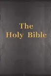 The Holy Bible synopsis, comments