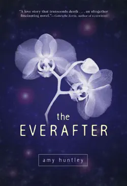 the everafter book cover image