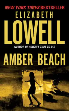 amber beach book cover image